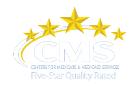 CMS Logo